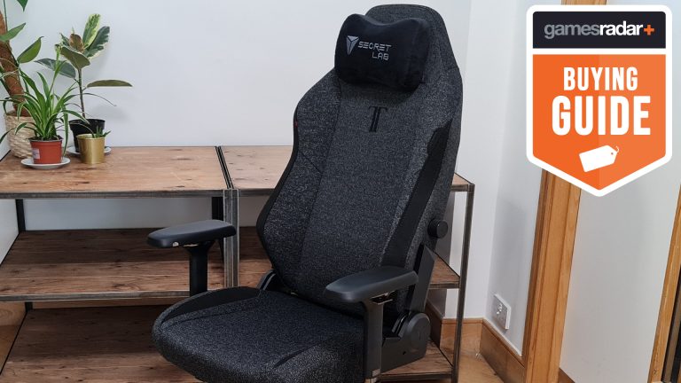 What Chair Does Ninja Use