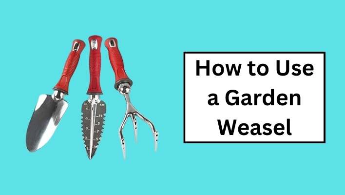 How to Use a Garden Weasel